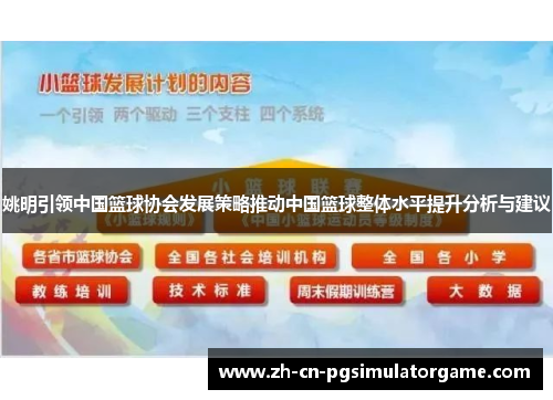姚明引领中国篮球协会发展策略推动中国篮球整体水平提升分析与建议