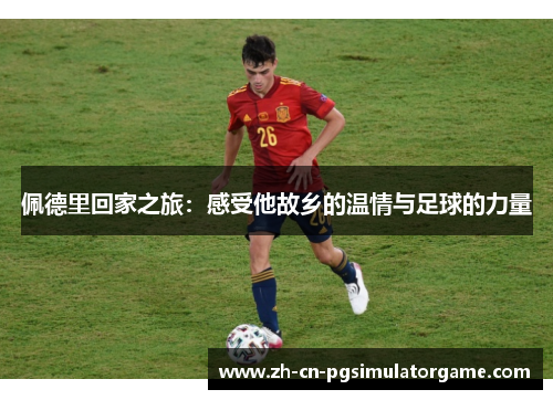 佩德里回家之旅：感受他故乡的温情与足球的力量