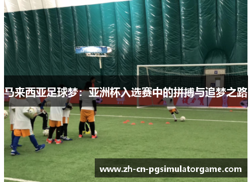 马来西亚足球梦：亚洲杯入选赛中的拼搏与追梦之路