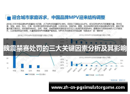 魏震禁赛处罚的三大关键因素分析及其影响