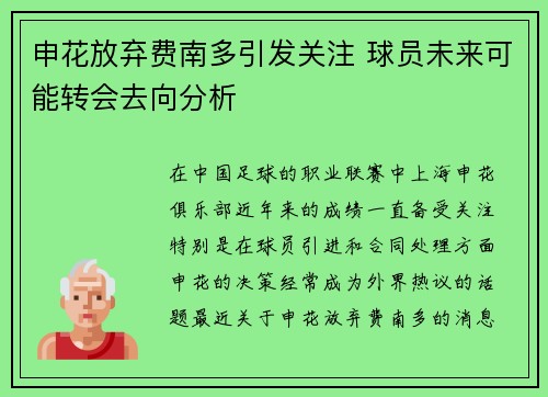 申花放弃费南多引发关注 球员未来可能转会去向分析