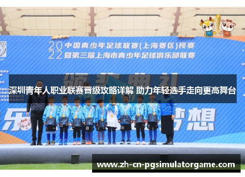 深圳青年人职业联赛晋级攻略详解 助力年轻选手走向更高舞台