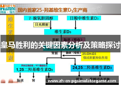 皇马胜利的关键因素分析及策略探讨
