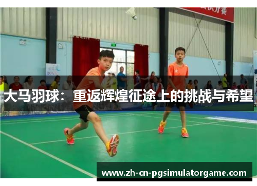 大马羽球：重返辉煌征途上的挑战与希望