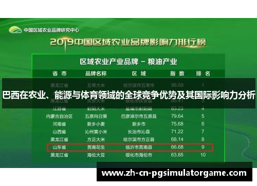 巴西在农业、能源与体育领域的全球竞争优势及其国际影响力分析