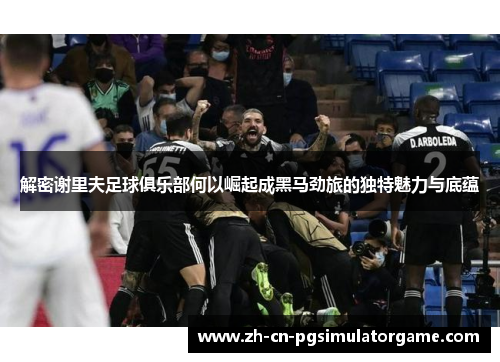 解密谢里夫足球俱乐部何以崛起成黑马劲旅的独特魅力与底蕴 解密谢里夫足球俱乐部何以崛起成黑马劲旅的独特魅力与底蕴