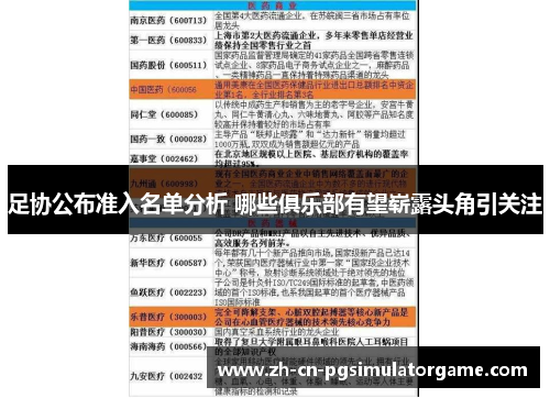 足协公布准入名单分析 哪些俱乐部有望崭露头角引关注